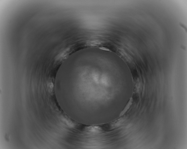 X0000096470427200801311538