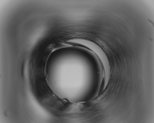 X0000096470429200801311538