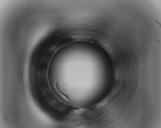 X0000096470430200801311538