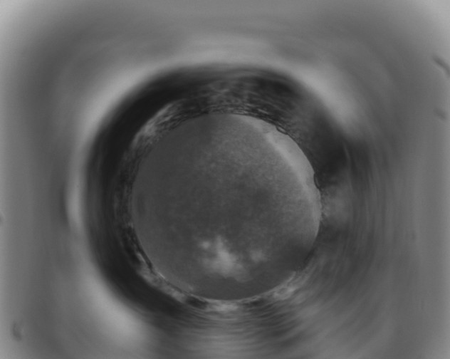 X0000096470431200801311538