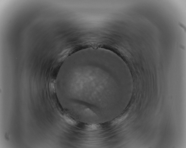 X0000096470432200801311538