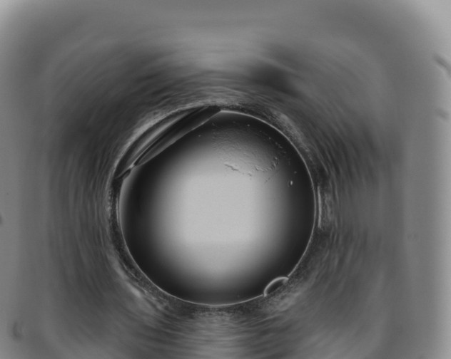 X0000096470435200801311537