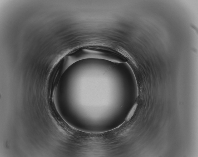 X0000096470436200801311537