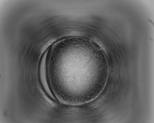 X0000096470437200801311537