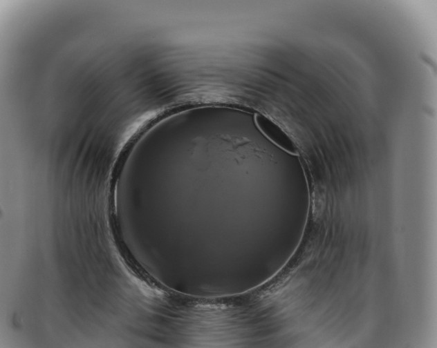X0000096470438200801311537