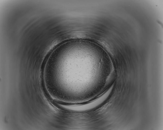 X0000096470439200801311537