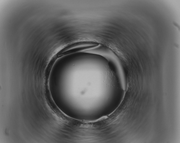 X0000096470440200801311537