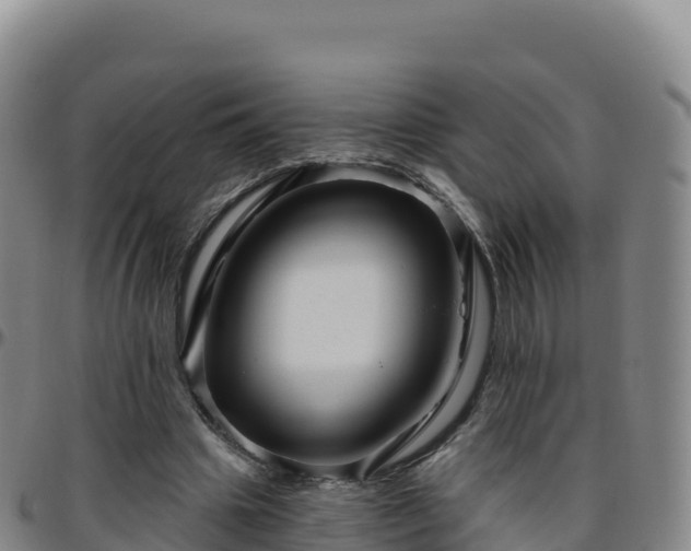 X0000096470441200801311538
