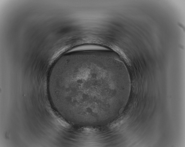 X0000096470442200801311538