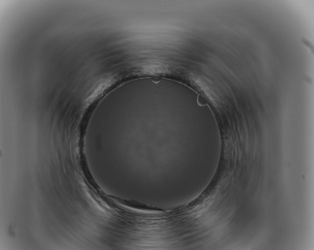 X0000096470443200801311538