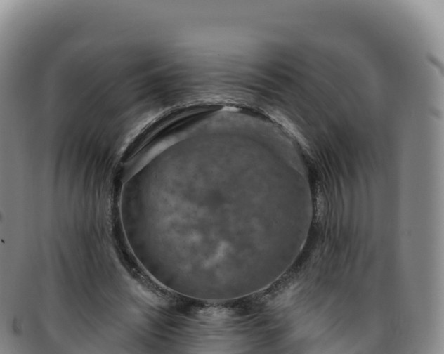 X0000096470444200801311538