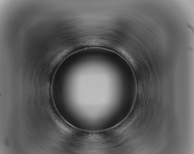 X0000096470445200801311538