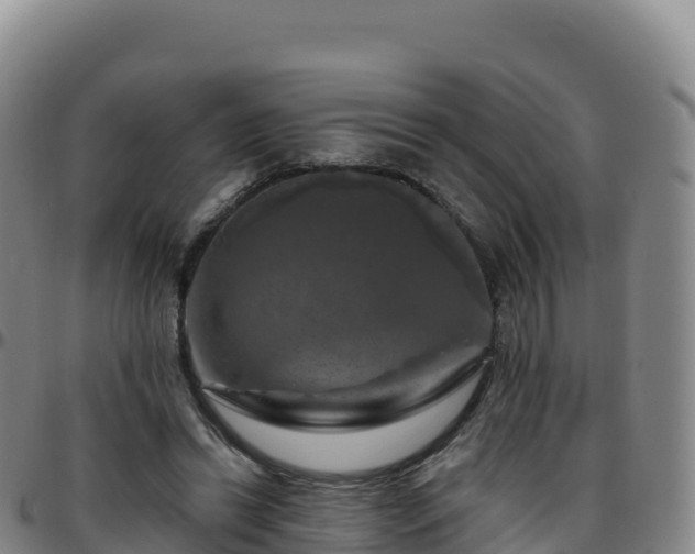 X0000096470446200801311538