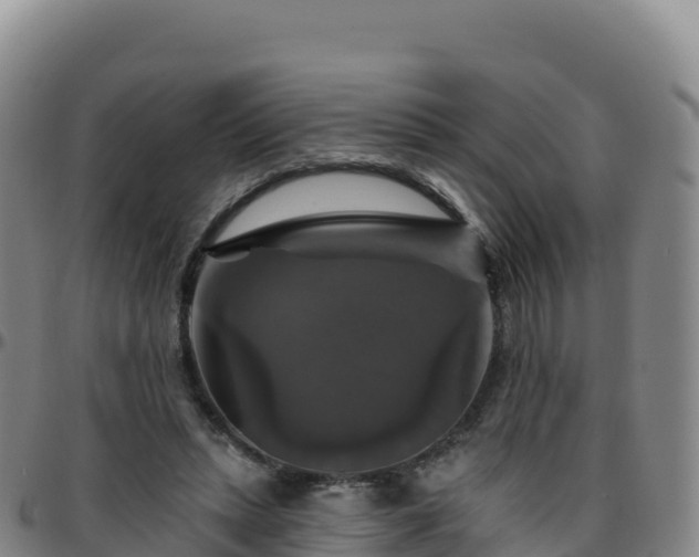 X0000096470447200801311538