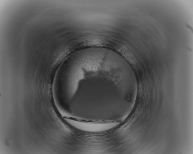 X0000096470449200801311538