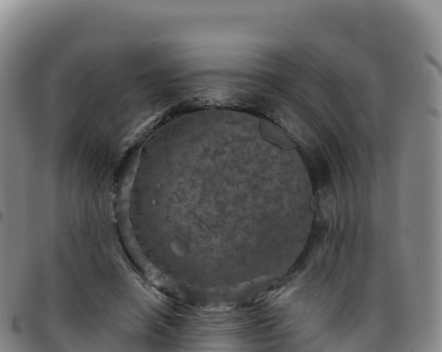 X0000096470450200801311538