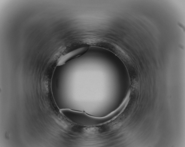 X0000096470452200801311538