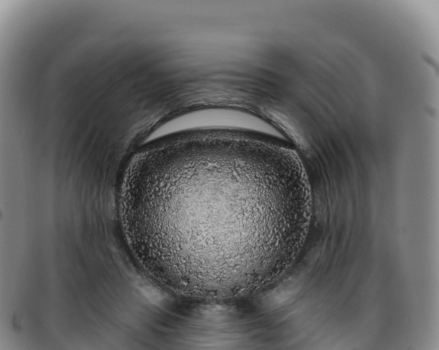 X0000096470453200801311538