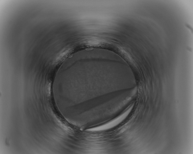 X0000096470454200801311538