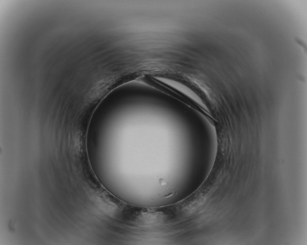 X0000096470455200801311538