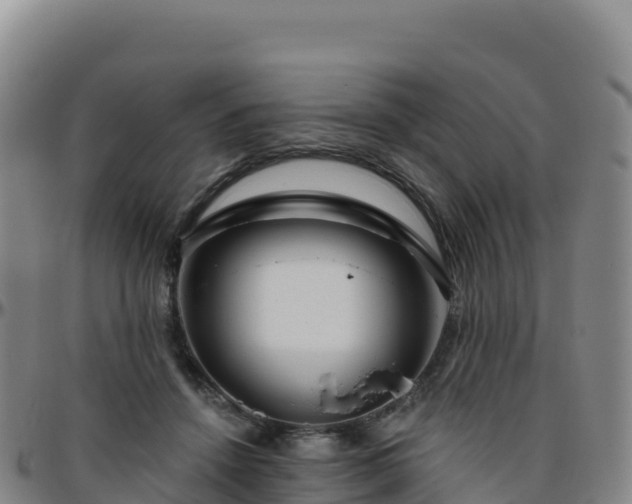 X0000096470456200801311538