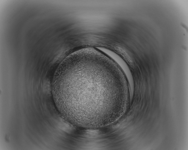 X0000096470457200801311538