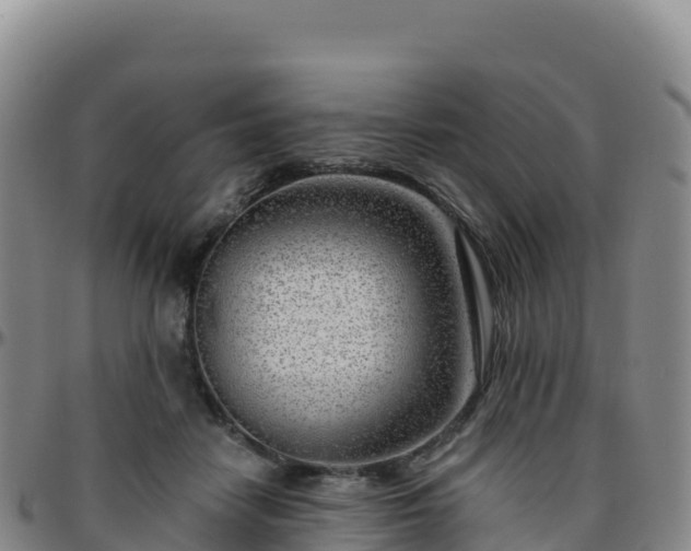 X0000096470458200801311538