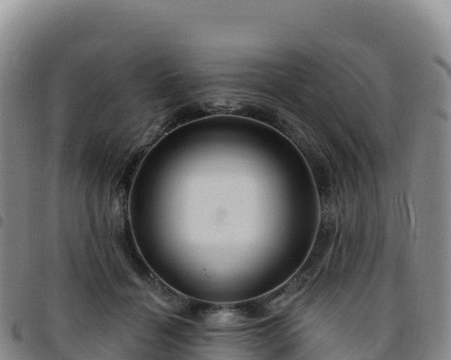 X0000096470460200801311538