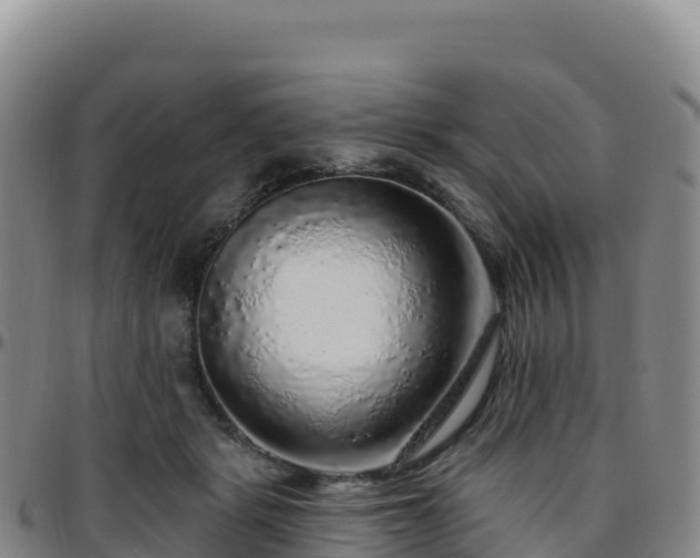 X0000096470461200801311538