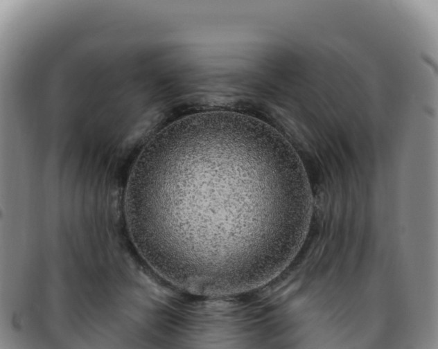 X0000096470462200801311538