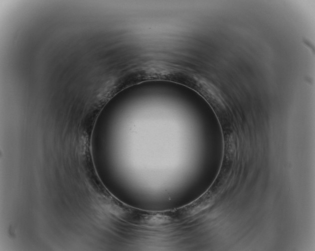 X0000096470463200801311538