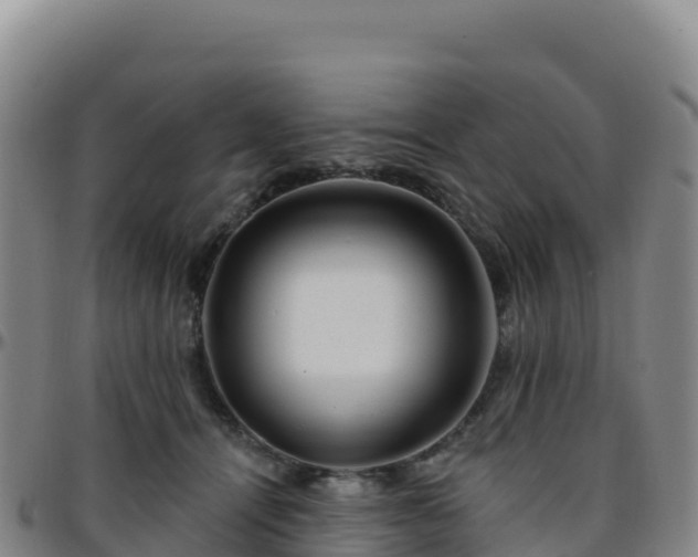 X0000096470464200801311538
