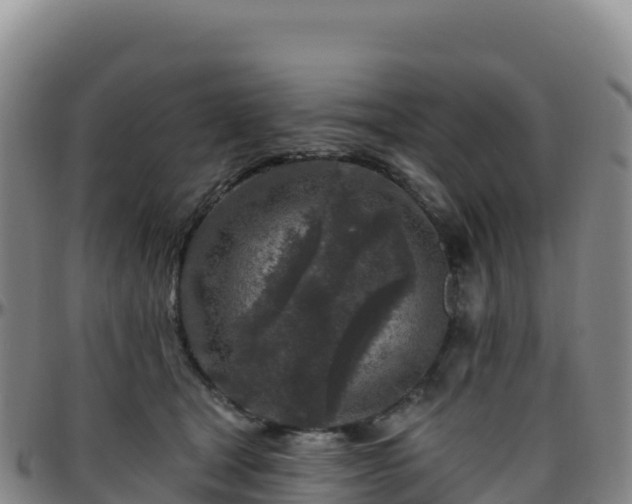 X0000096470465200801311538