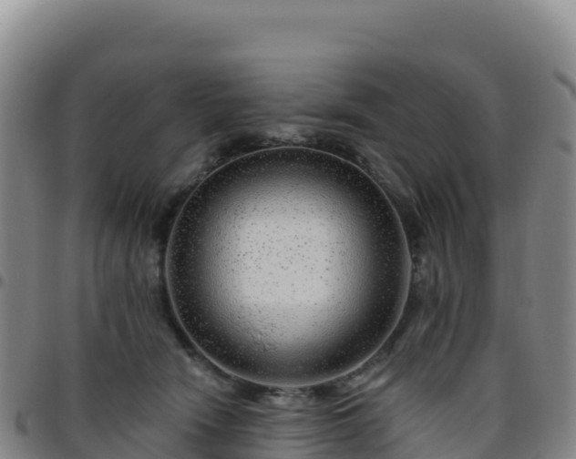 X0000096470466200801311538
