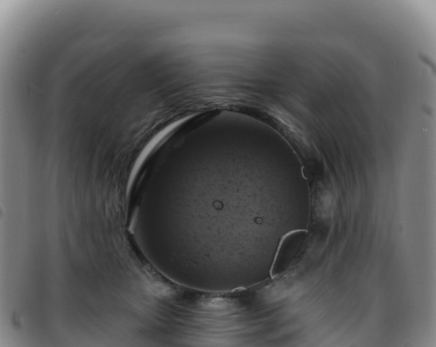X0000096470467200801311538