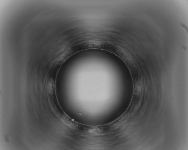X0000096470468200801311538