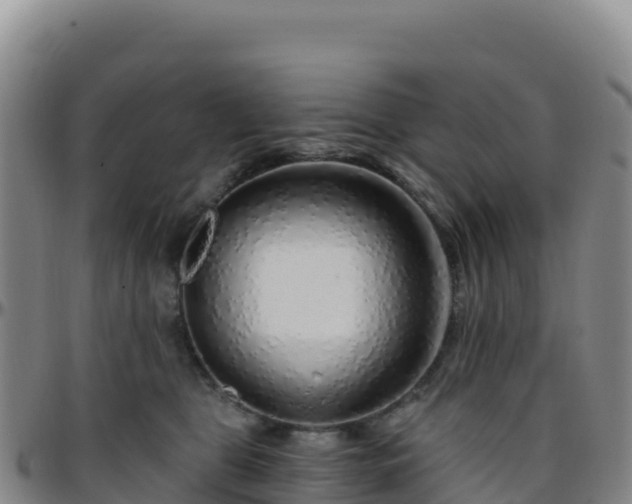 X0000096470469200801311538