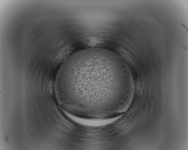 X0000096470470200801311538