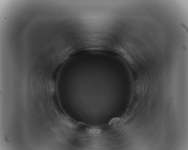 X0000096470471200801311538