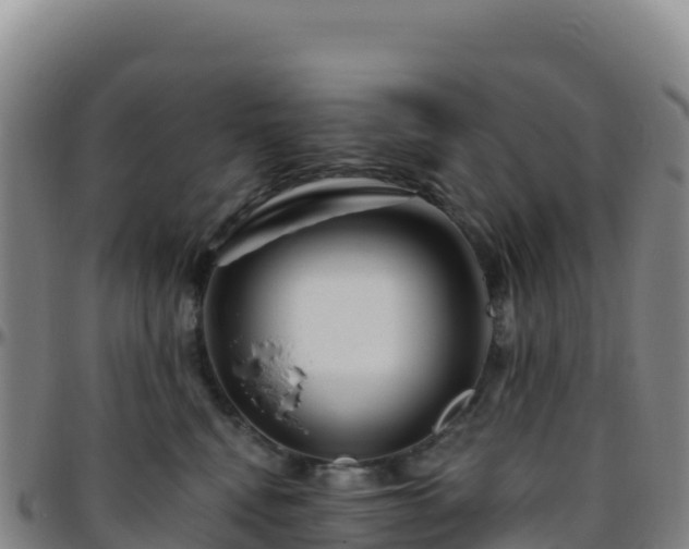 X0000096470472200801311538