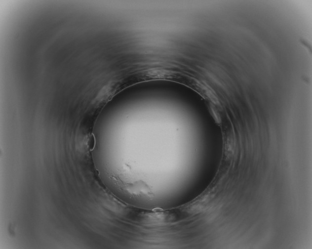 X0000096470473200801311538