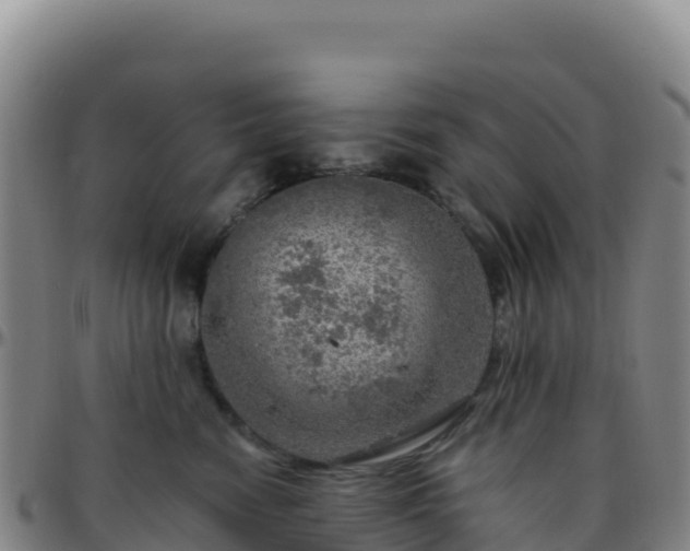 X0000096470474200801311538