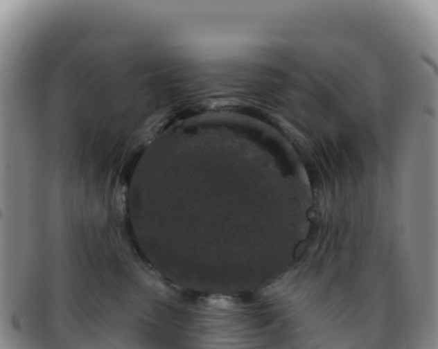 X0000096470475200801311538
