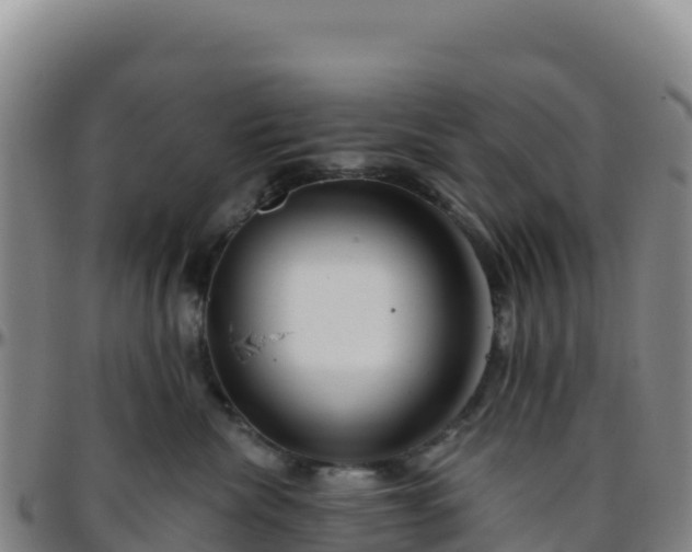 X0000096470476200801311538