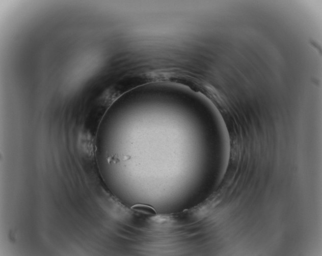 X0000096470477200801311538