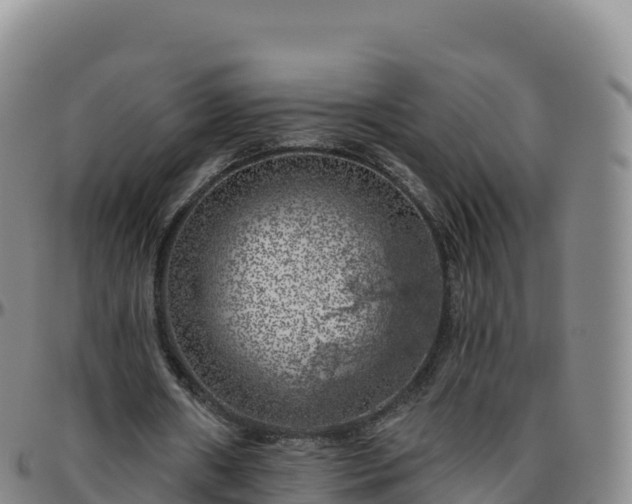 X0000096470482200801311537