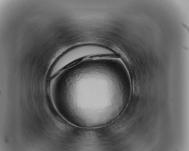 X0000096470483200801311537