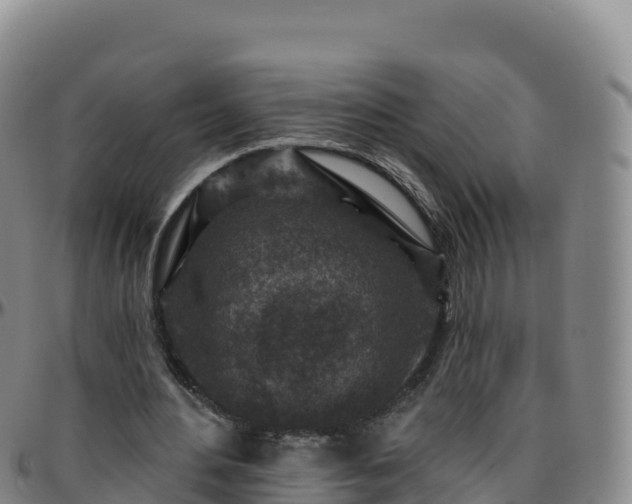 X0000096470484200801311537