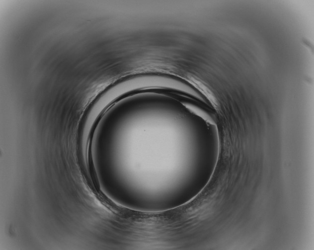 X0000096470485200801311537