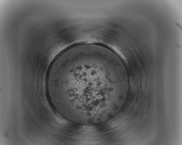 X0000096470487200801311537